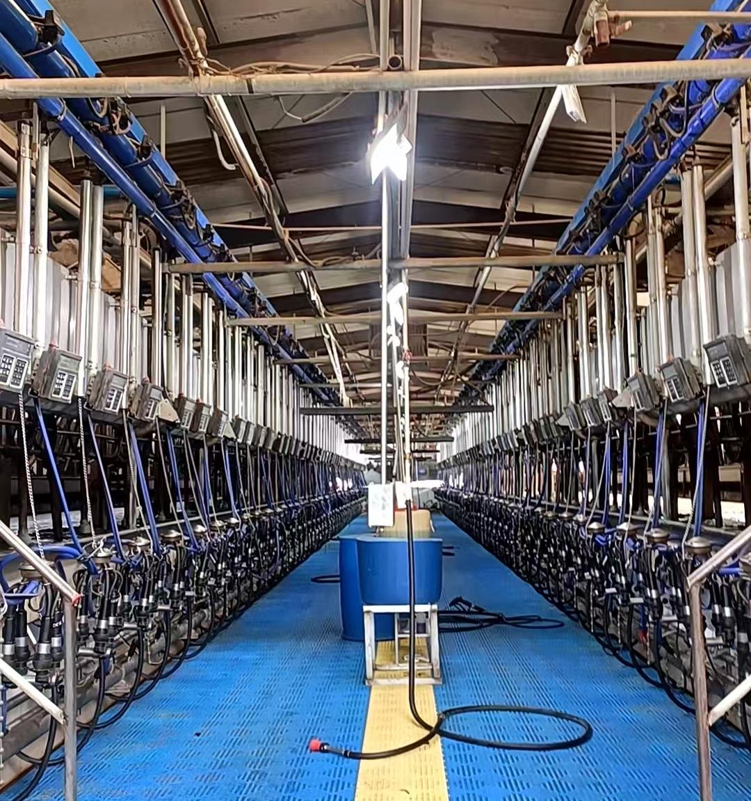 Оборудование для параллельного доения NEMNP25