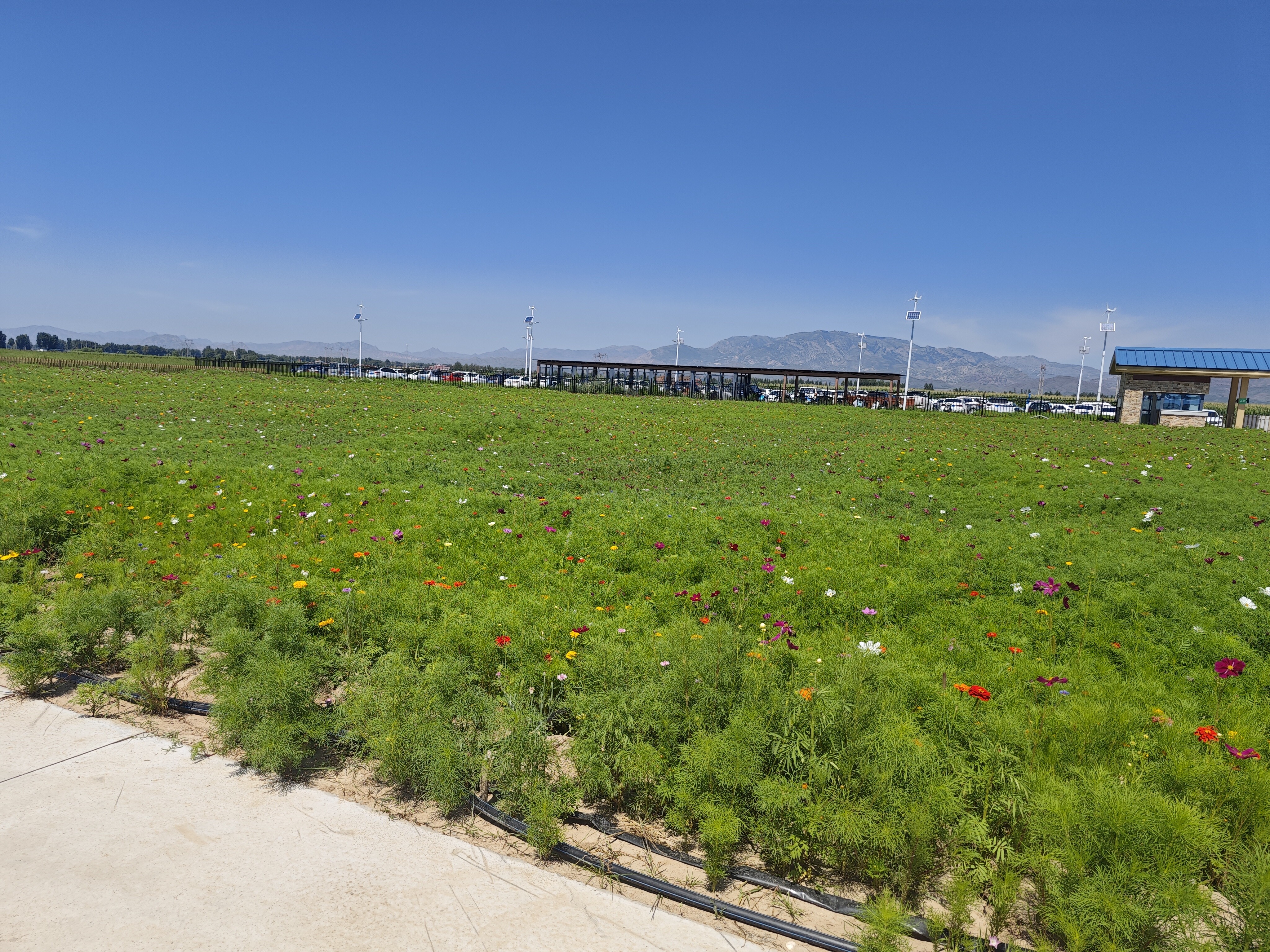 Выбирайте наше доильное оборудование для эффективного, безопасного и устойчивого молочного производства Выбирайте наше доильное оборудование для эффективного, безопасного и устойчивого молочного производства