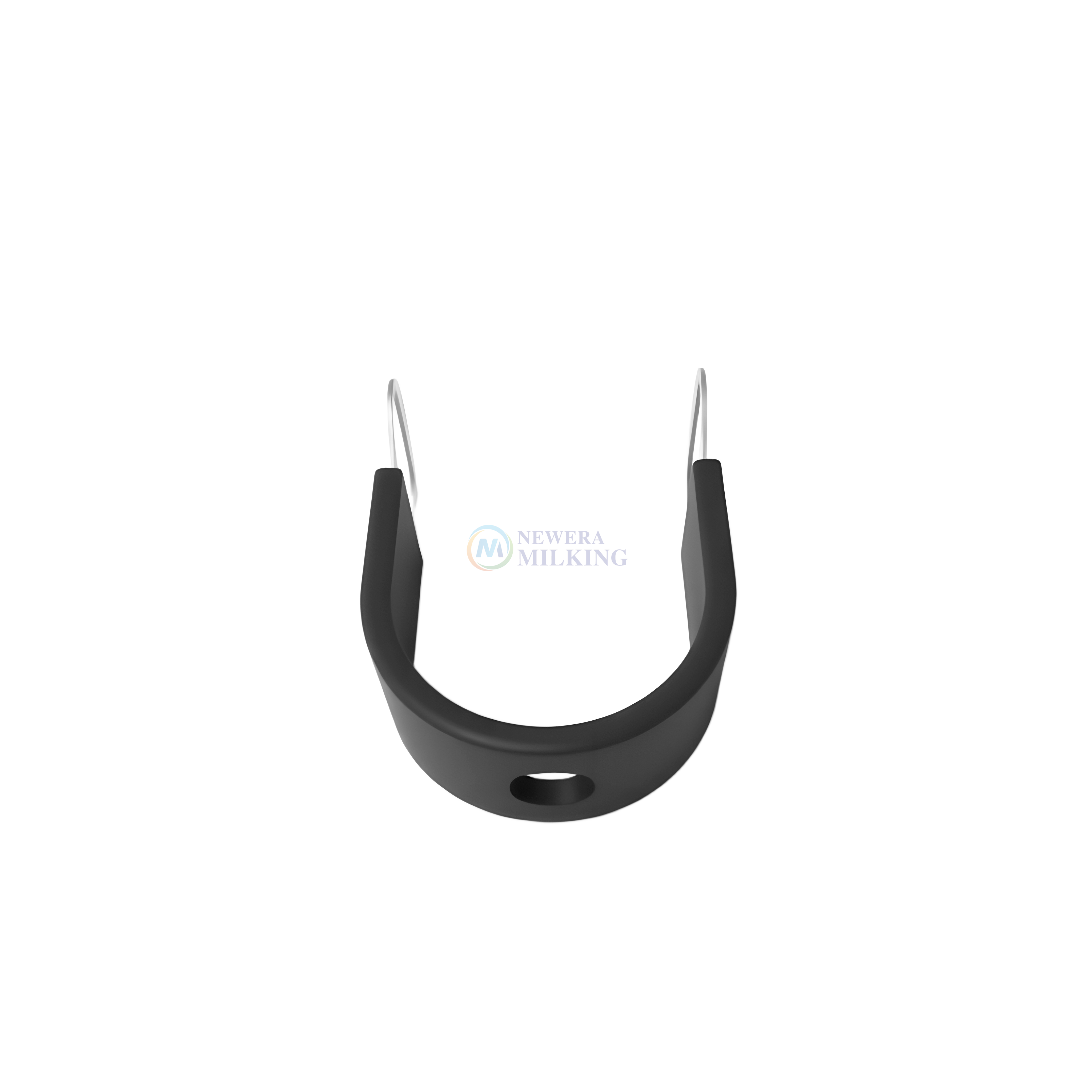 Когтеточка короткая