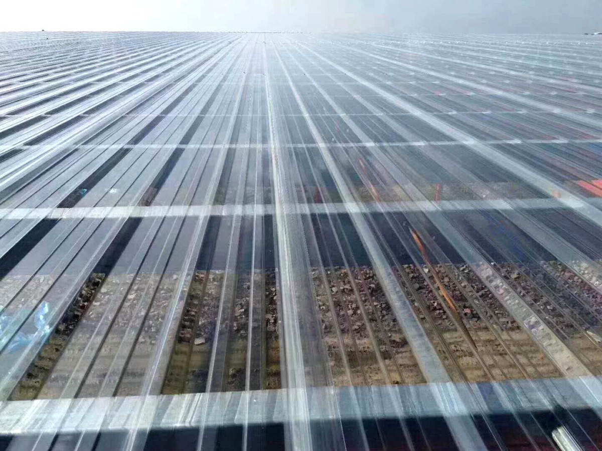 1(封面)-Agricultural greenhouse.jpg