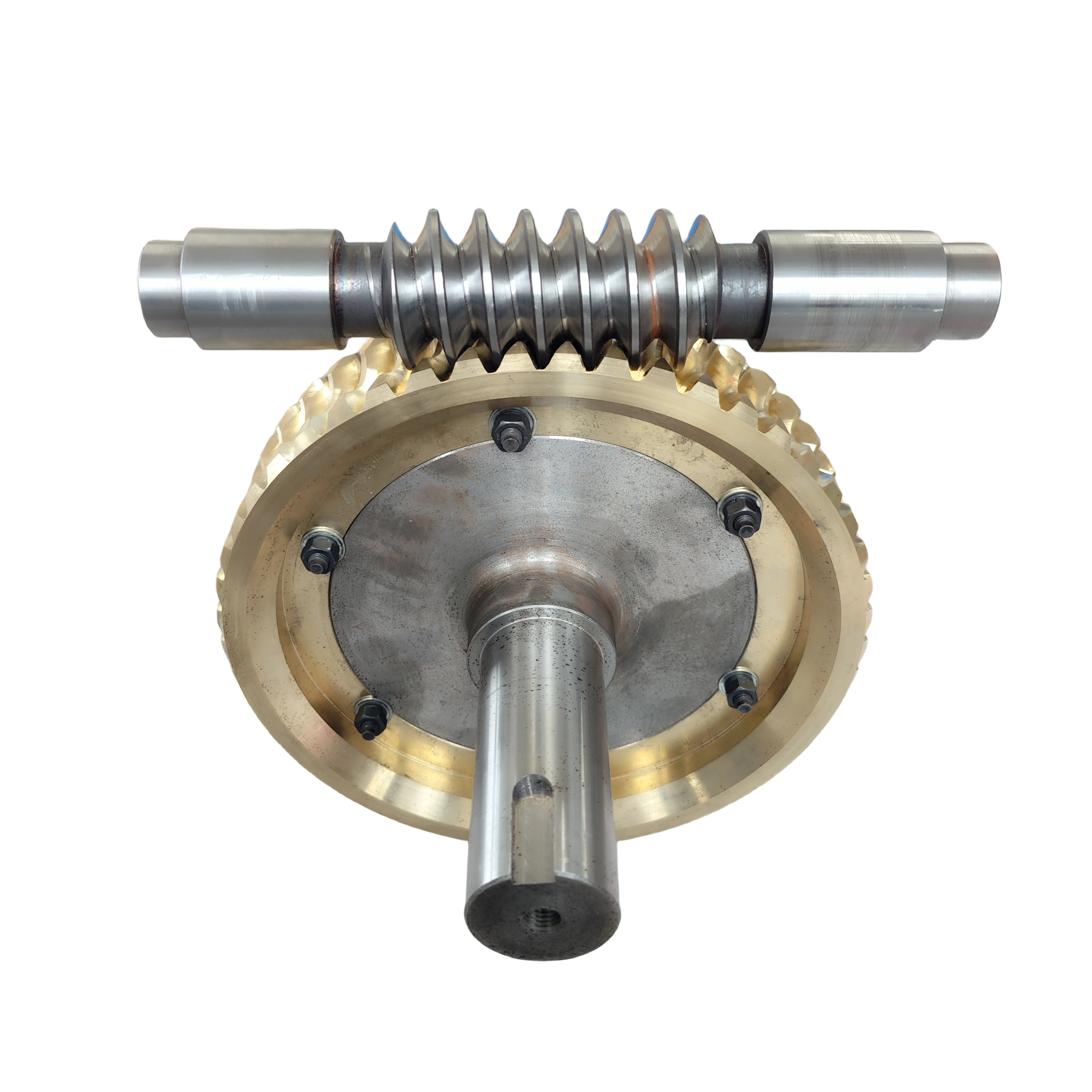 Customized Worm Gear