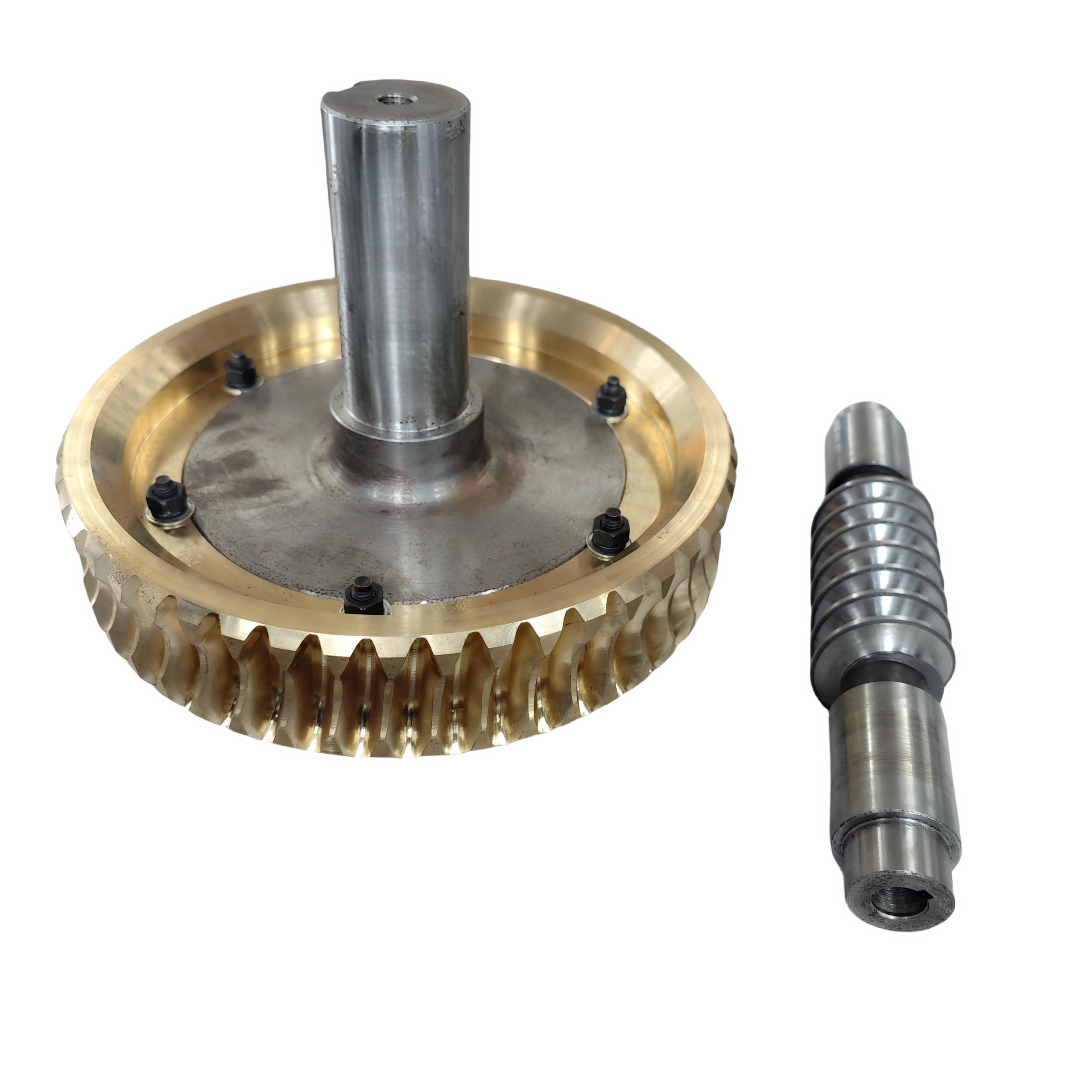 Customized Worm Gear
