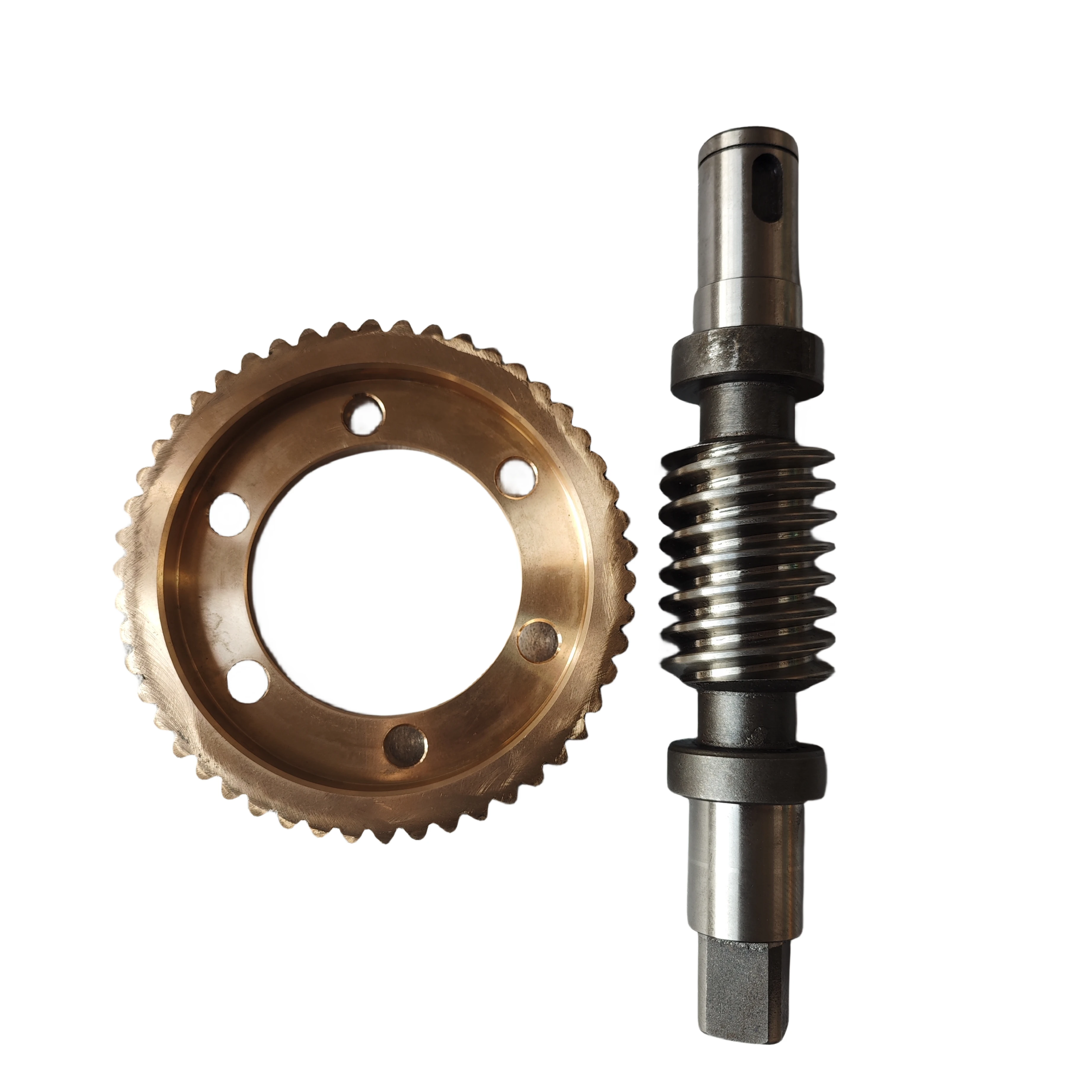 Customized Worm Gear
