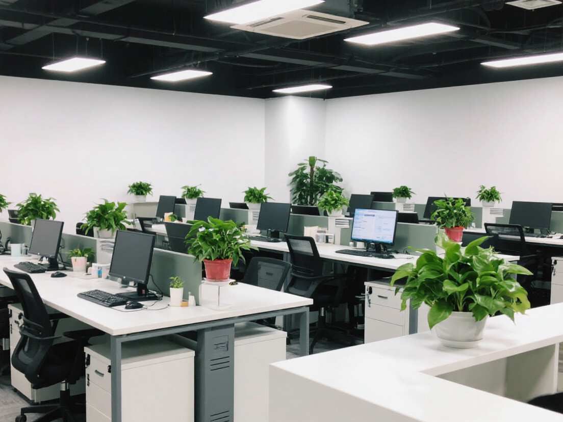 WeChat Image_20250611160251