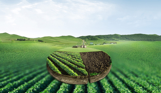 China's fertilizer import and export situation in 2024