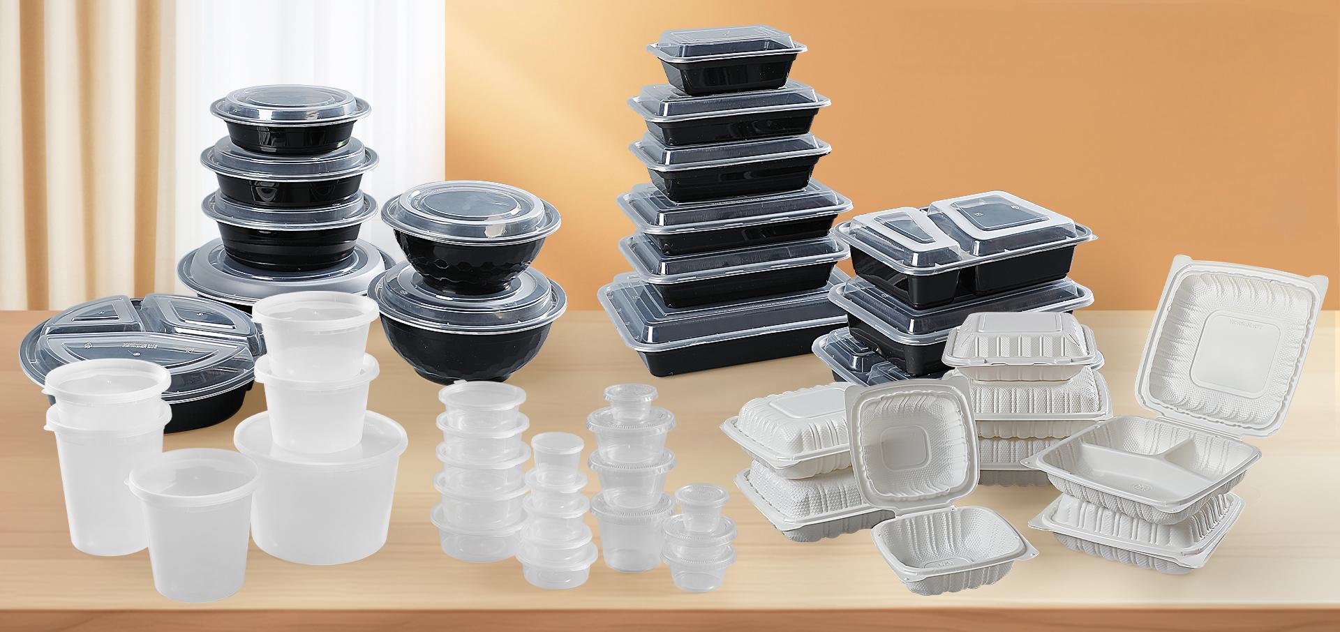 Plastic Hinged Container