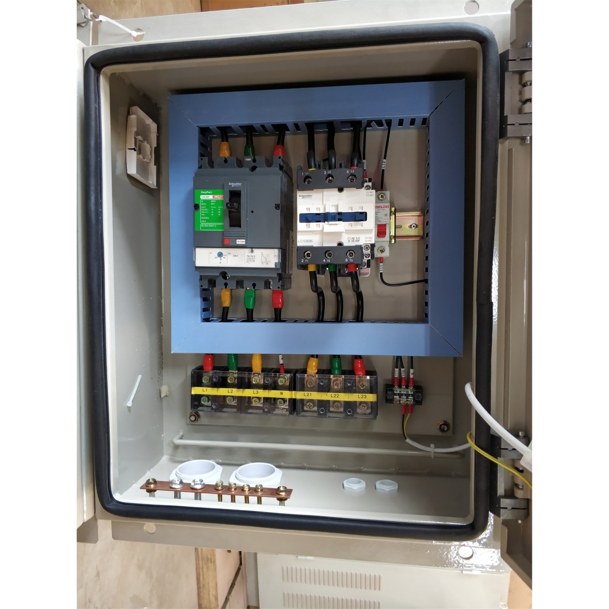 photobank - 2025-08-21T160740.670