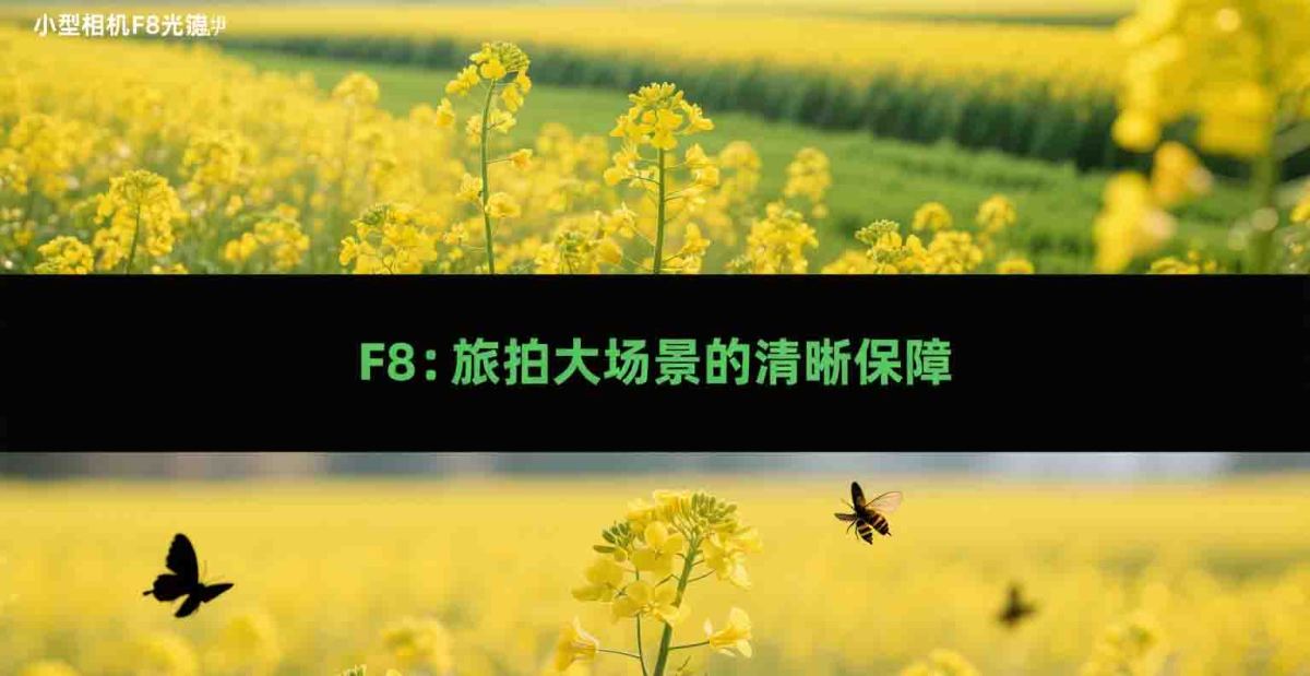 数码相机像素与镜头关系 (8)