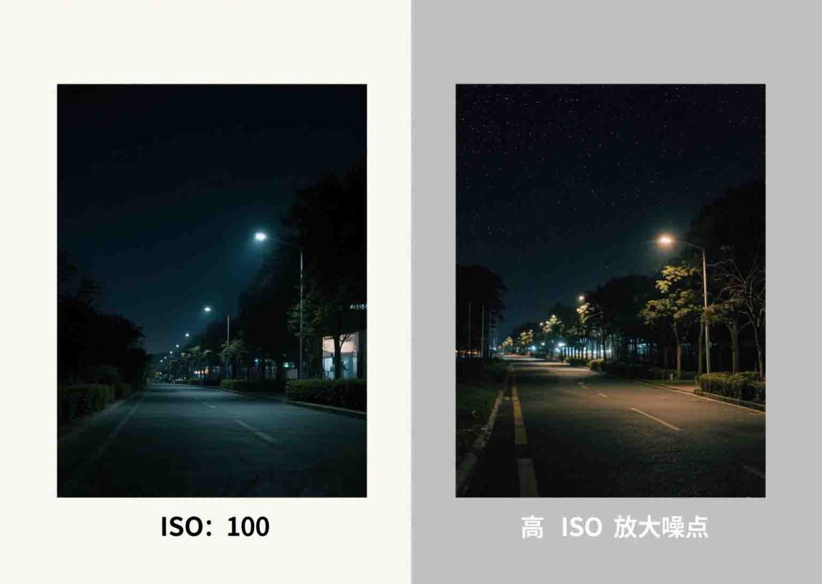 相机照片风格设置 (23)