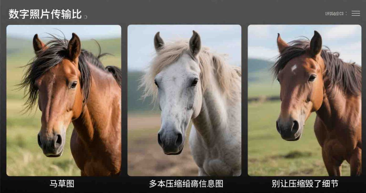 小型数码相机光圈解析 (80)