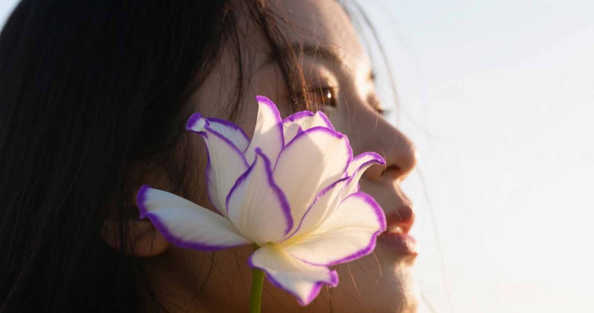 小型数码相机光圈解析 - 2025-08-13T105235.197