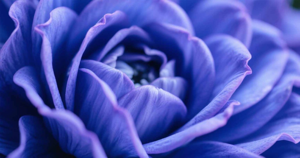 小型数码相机光圈解析 - 2025-08-13T114123.310