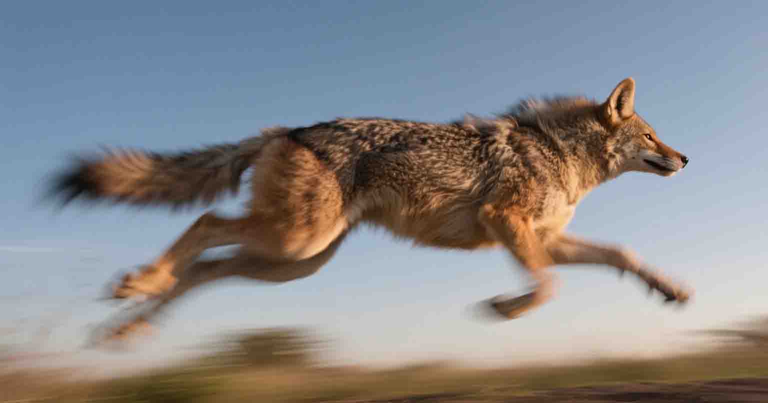 数码相机为啥非要装快门？旅拍时你就懂了
