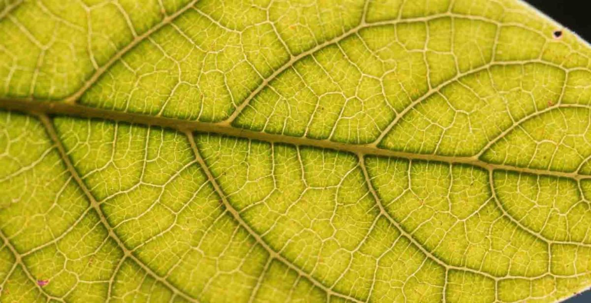 包围曝光技巧详解 (7)