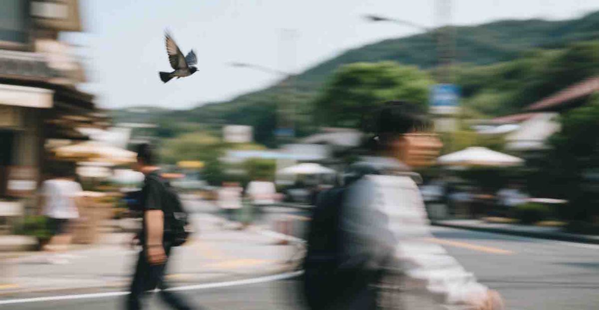 包围曝光技巧详解 (9)