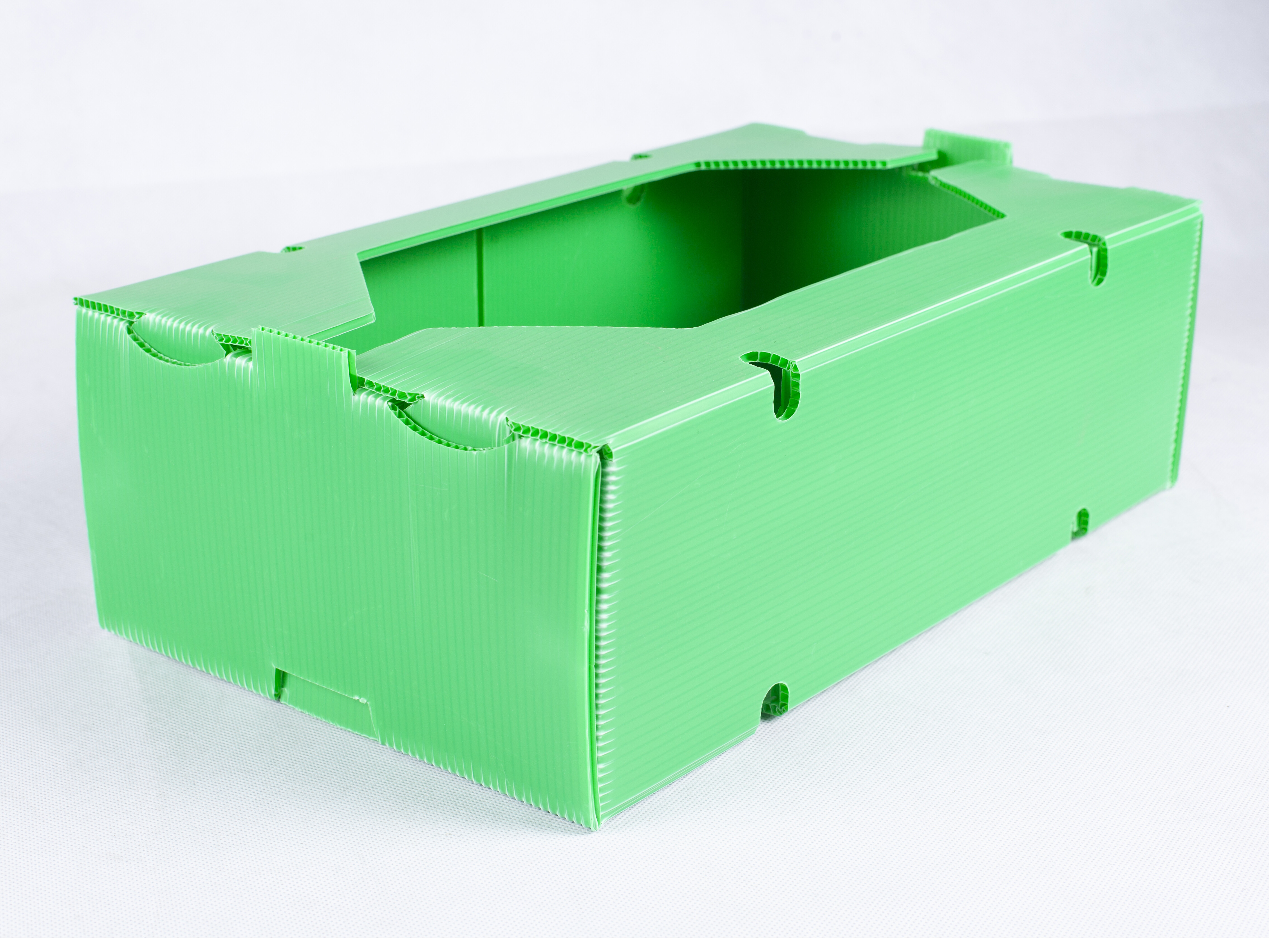 Упаковочный ящик Coroplast для фруктов