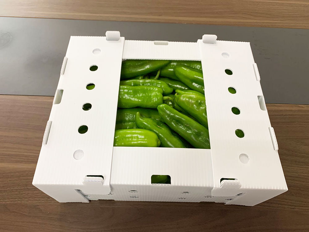 Упаковочный ящик Coroplast для фруктов