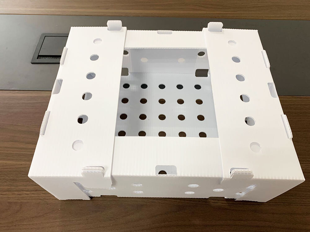 Упаковочный ящик Coroplast для фруктов