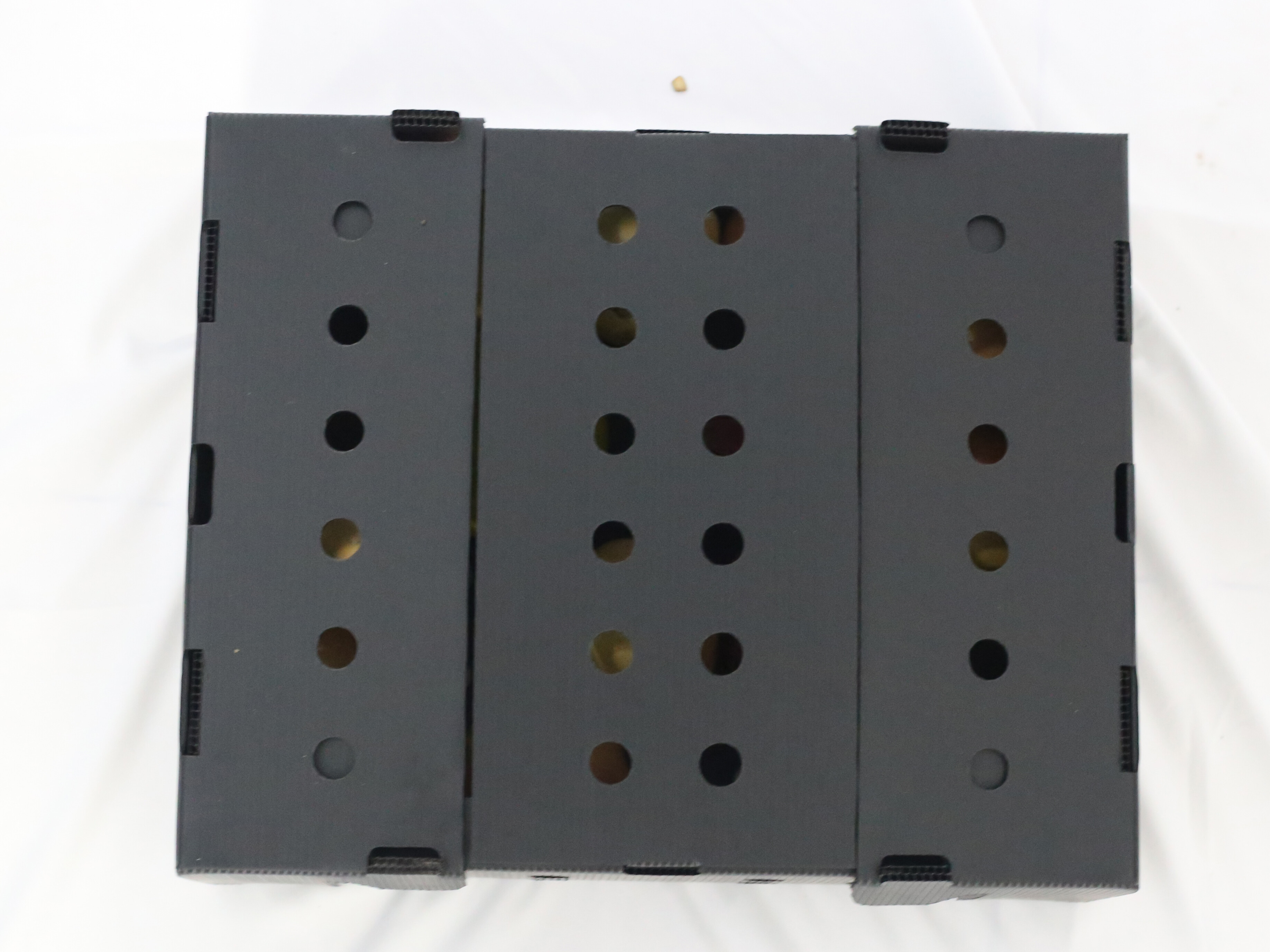 Упаковочный ящик Coroplast для фруктов