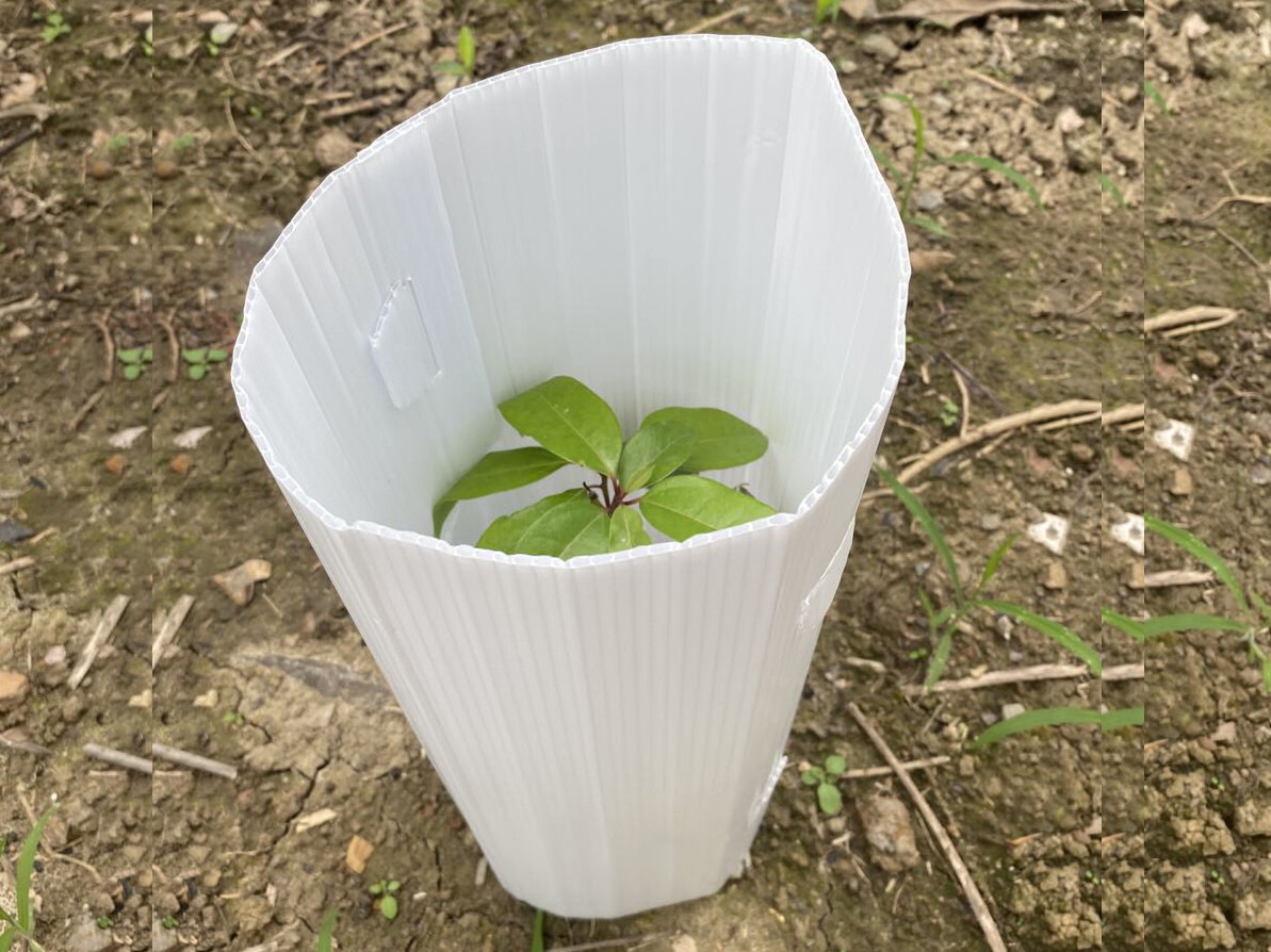 Tree guards пластиковые купить