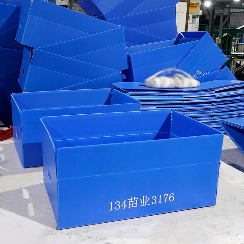 Гофрированная пластиковая коробка — современная многоразовая упаковка для бизнеса