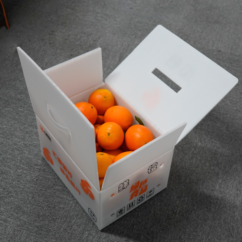 Коробки из гофрированного полипропилена vs пластиковые контейнеры: что выгоднее Коробки из гофрированного полипропилена vs пластиковые контейнеры: что выгоднее