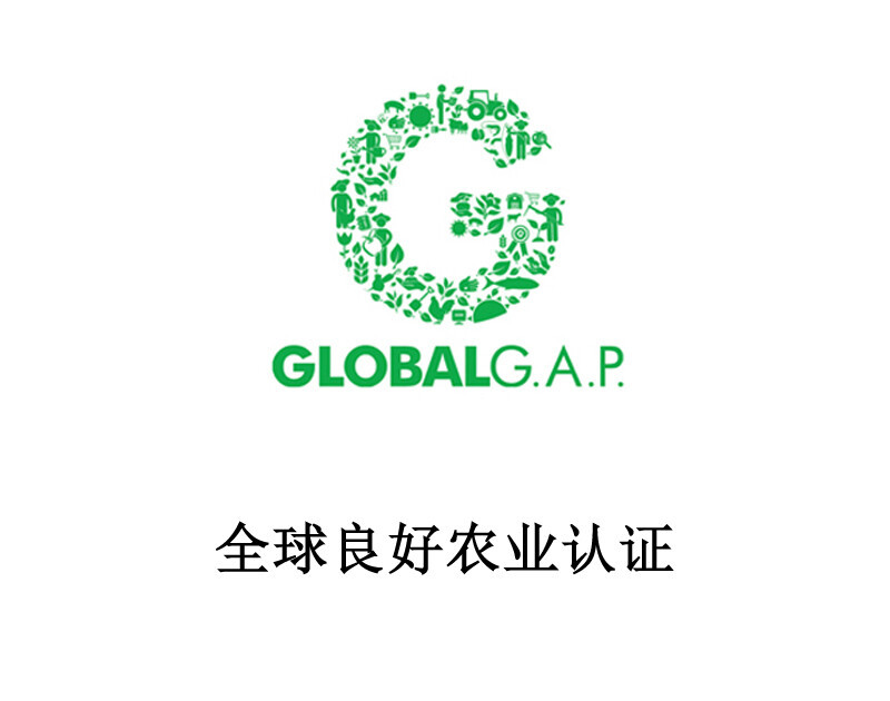 GLOBAL.GAP Certification (Global GAP)