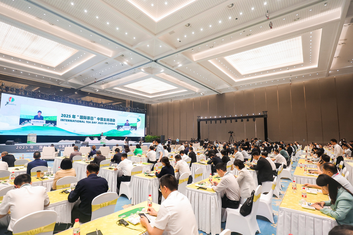 W020250521570597323325.jpg W020250521570597323325.jpg