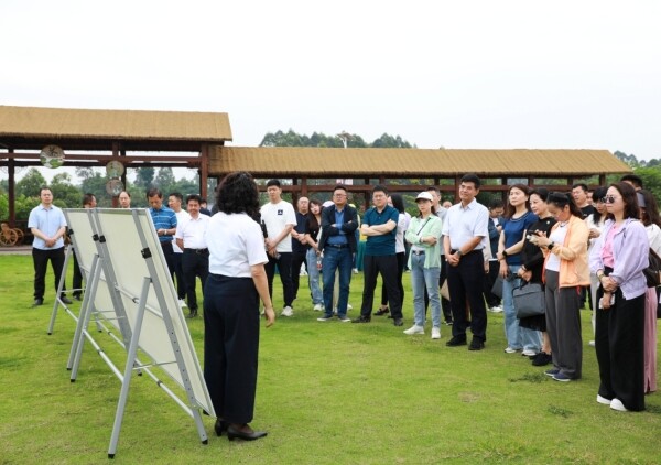 Training Course on Construction and Management of Standardized Production Bases for Green Food Raw Materials Held in Chengdu, Sichuan Province