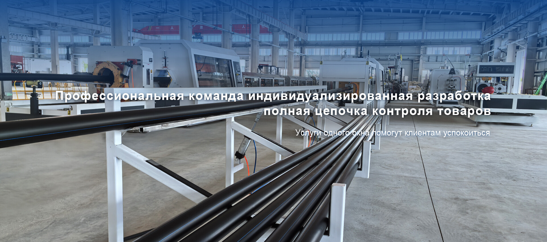 03.jpg