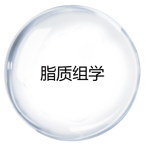 脂质组学