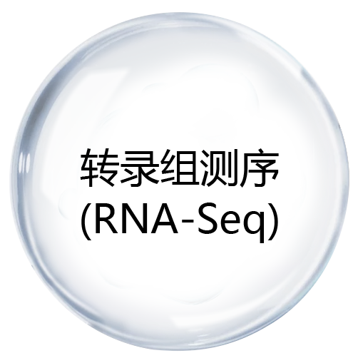 转录组测序(RNA-Seq)
