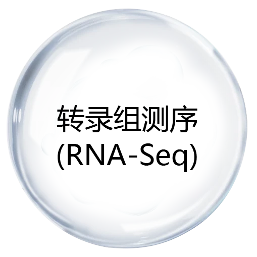 转录组测序(RNA-Seq)