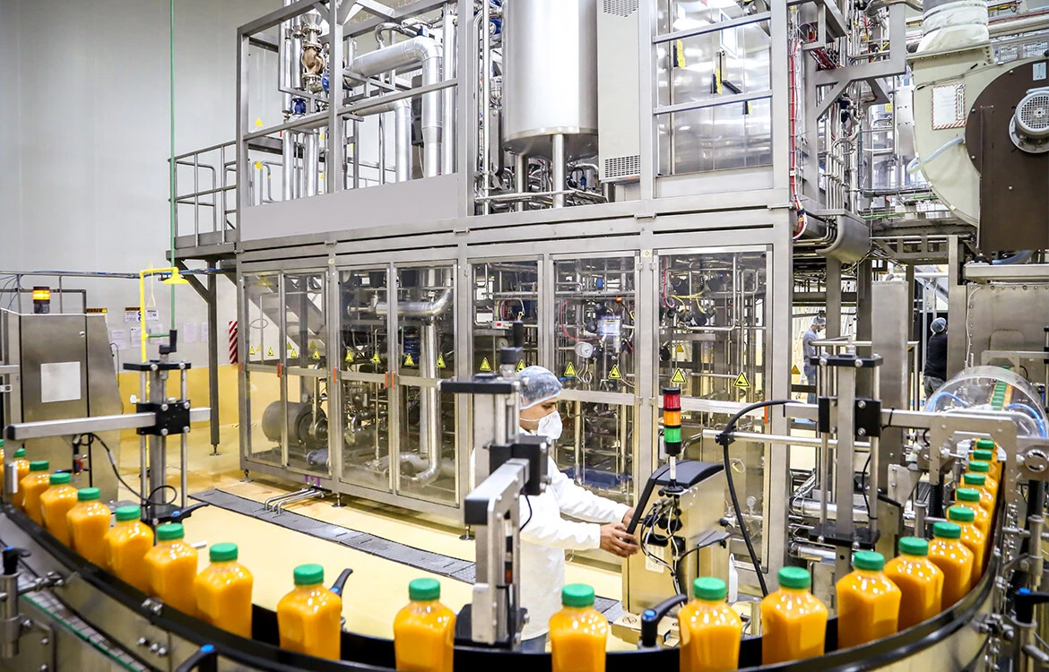 Conveyor & Material Handling