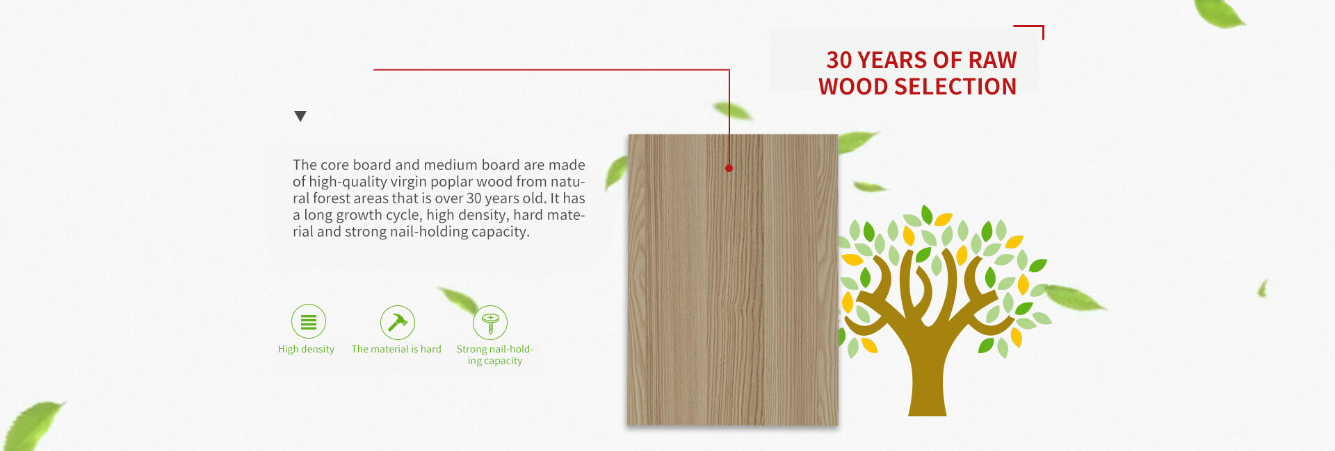 shengtaiban-2 拷贝