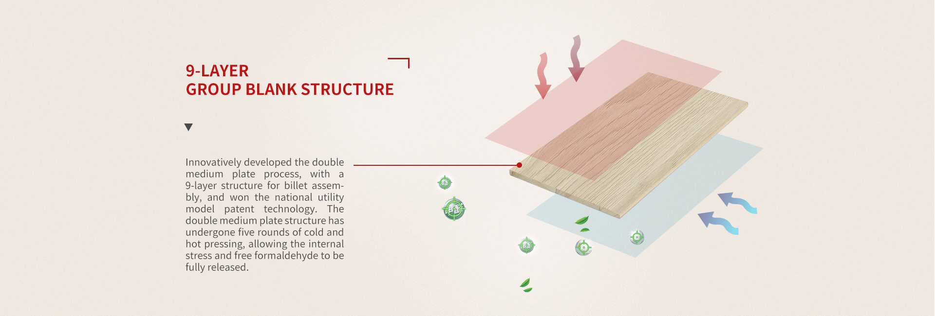 shengtaiban-5 拷贝