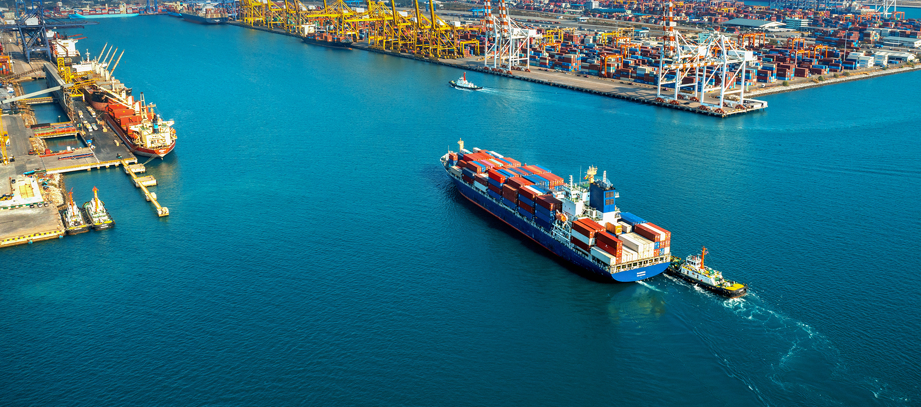 Без названия-1