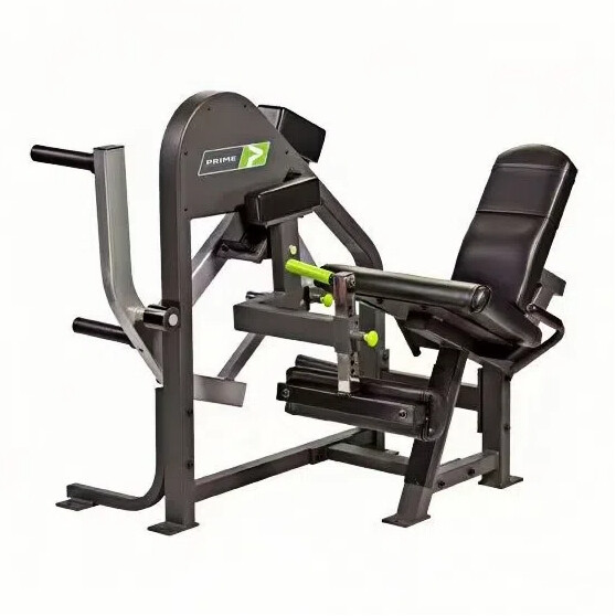 P07 Extensión de piernas