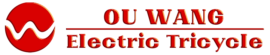 欧王logo