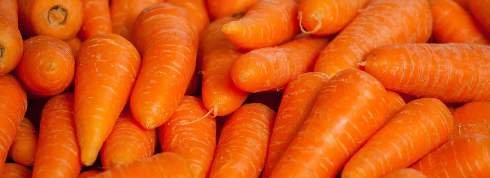 Carrots