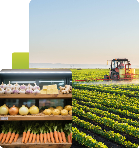 1750927844796782890557812736