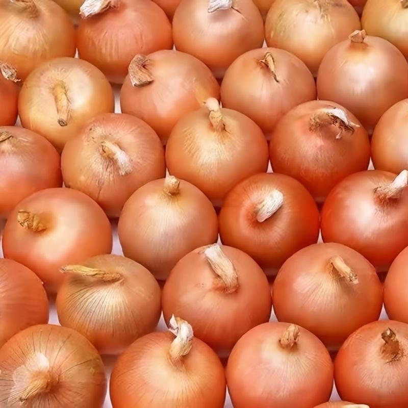 Organic Yellow Onions