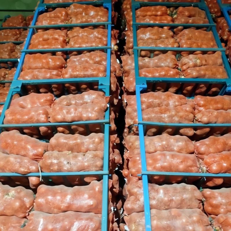 Organic Yellow Onions