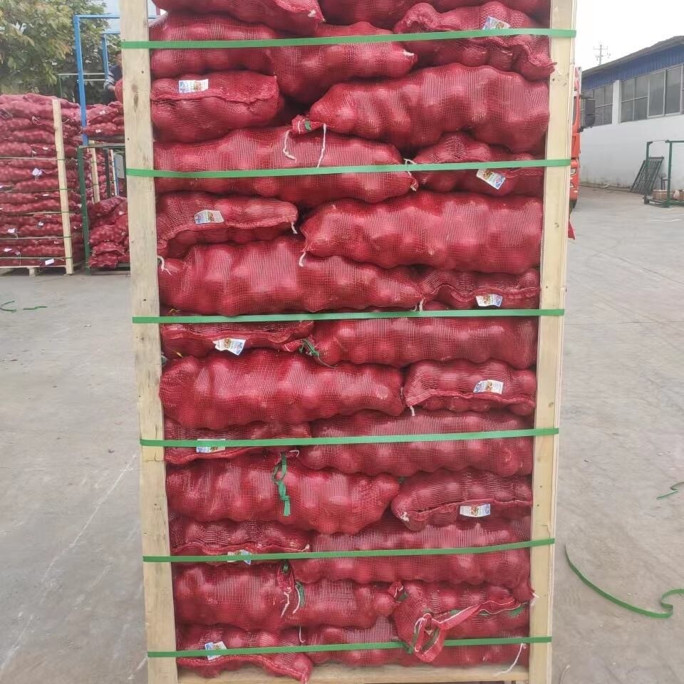Organic Red Onions