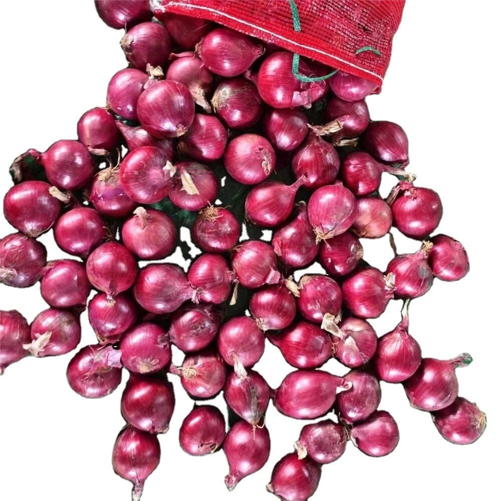 Organic Red Onions