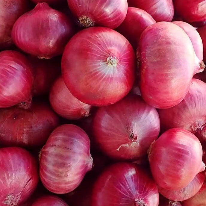 Organic Red Onions