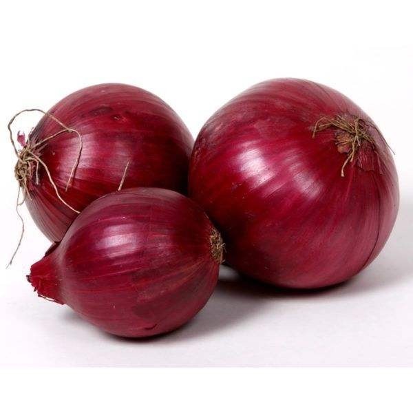  Red Onions