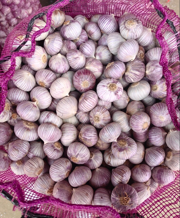 Organic New Crop Fresh Garlic 