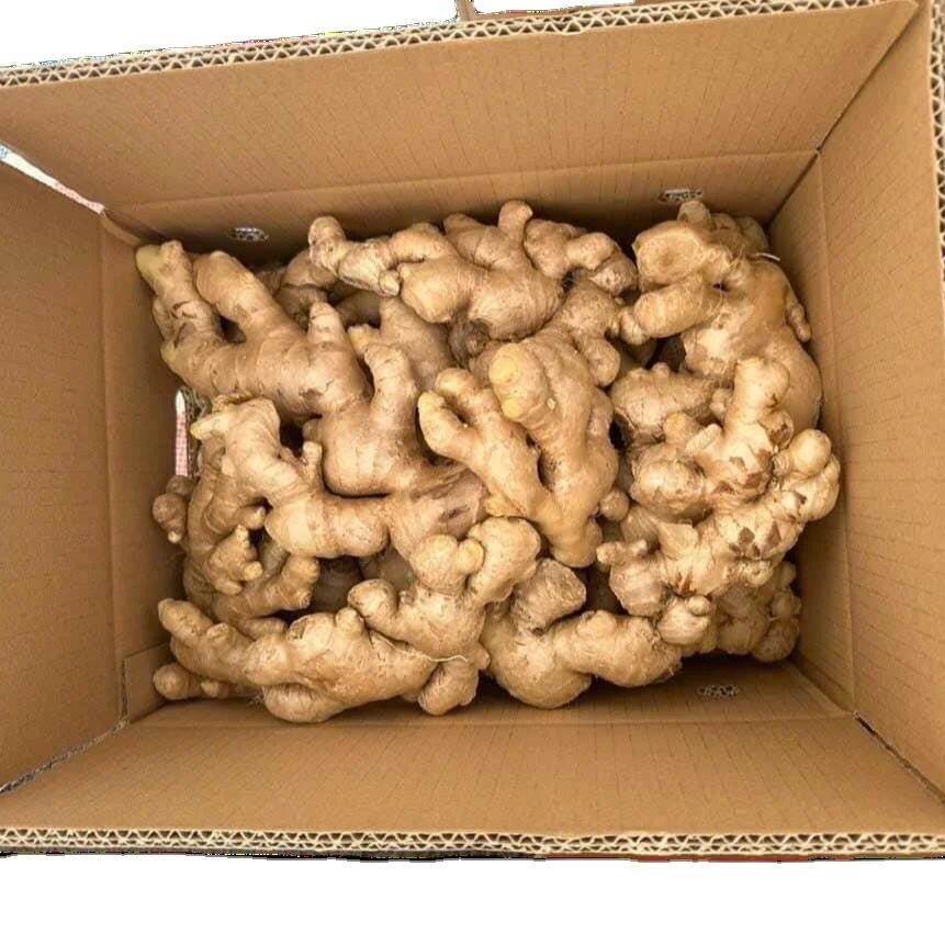 Fresh Dry Ginger