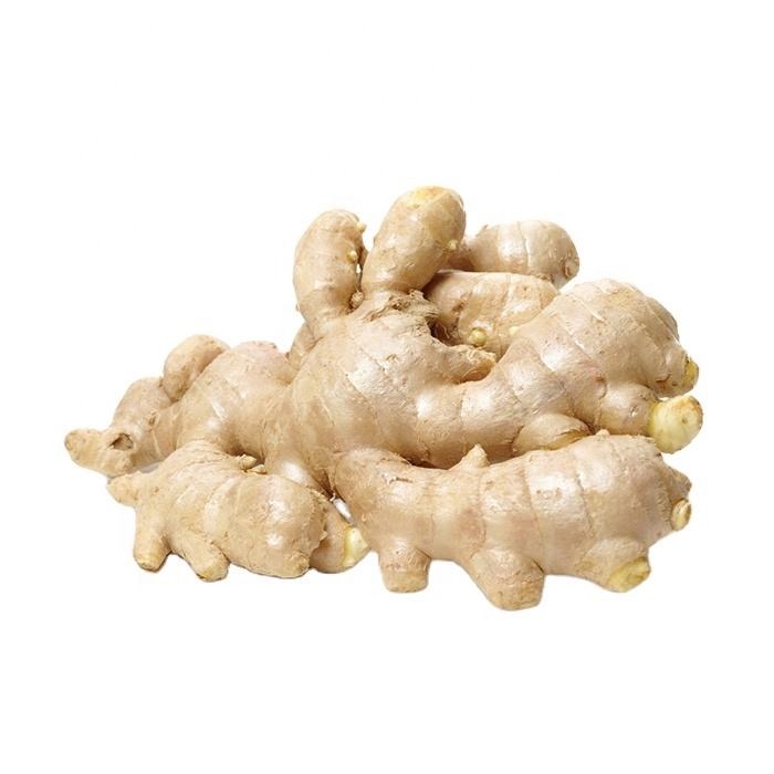 Fresh Large Yellow Ginger